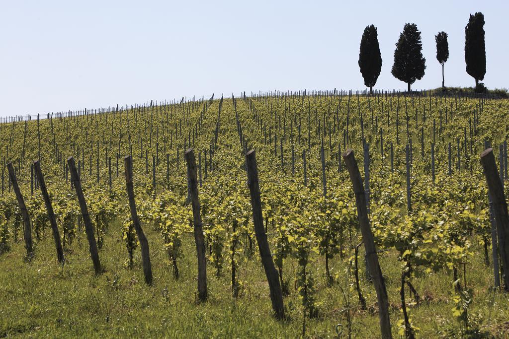 Le Buche Wine Resort&Spa Macciano Luaran gambar