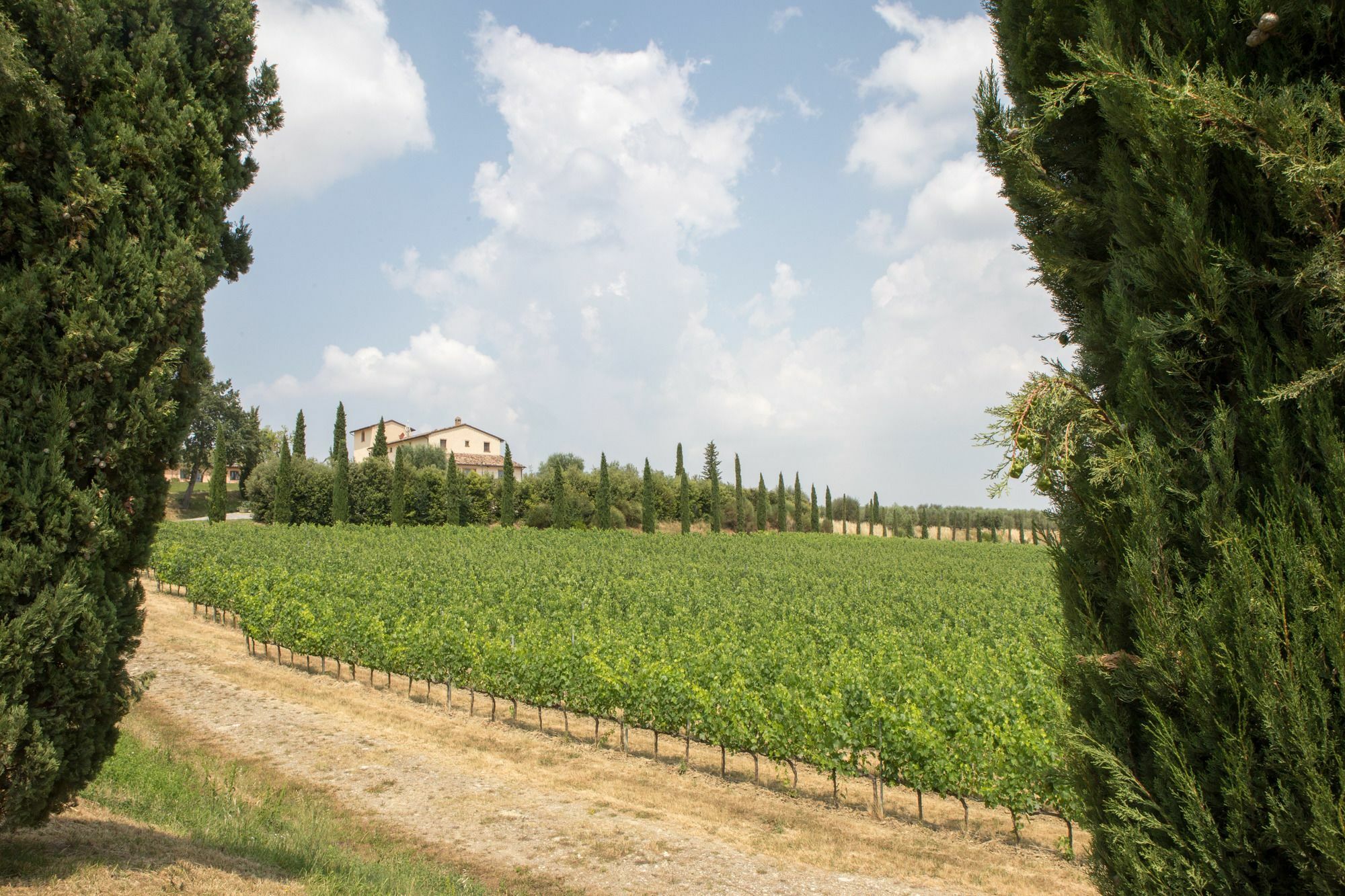 Le Buche Wine Resort&Spa Macciano Luaran gambar
